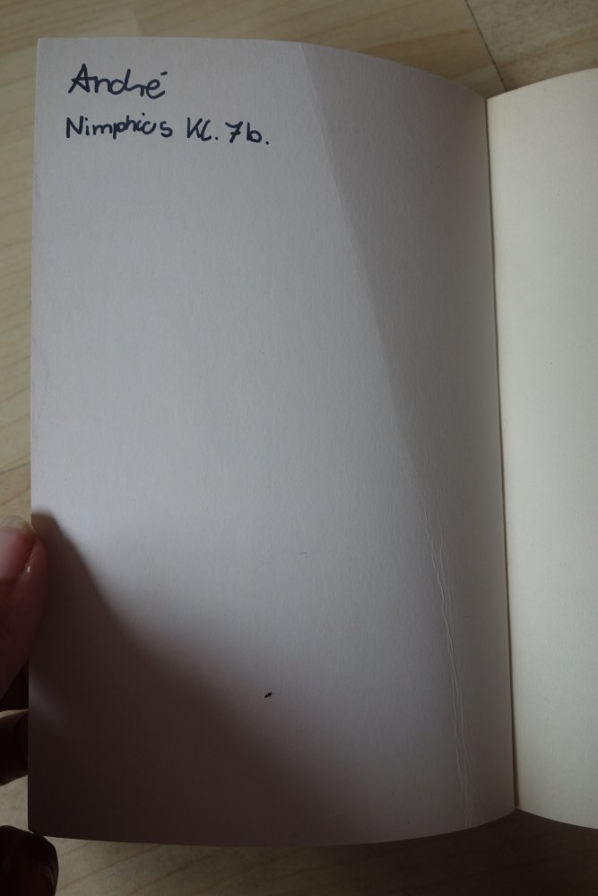 Beschützer der Diebe Andreas Steinhöfel dtv junior