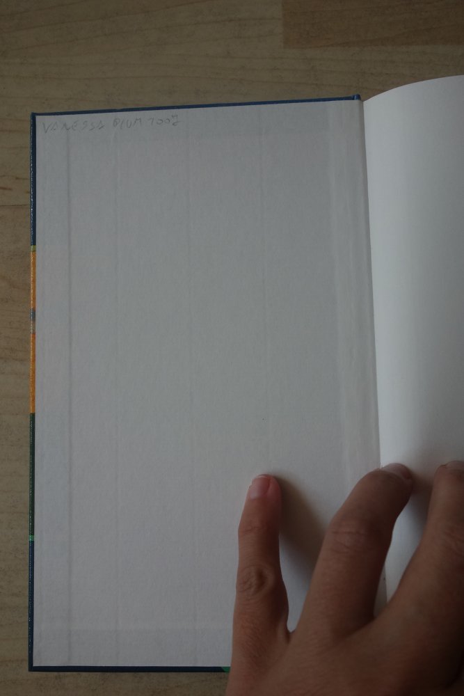 Eine Hand voll Sterne Gewitter im Bauch Rafik Schami Annette Schlipper