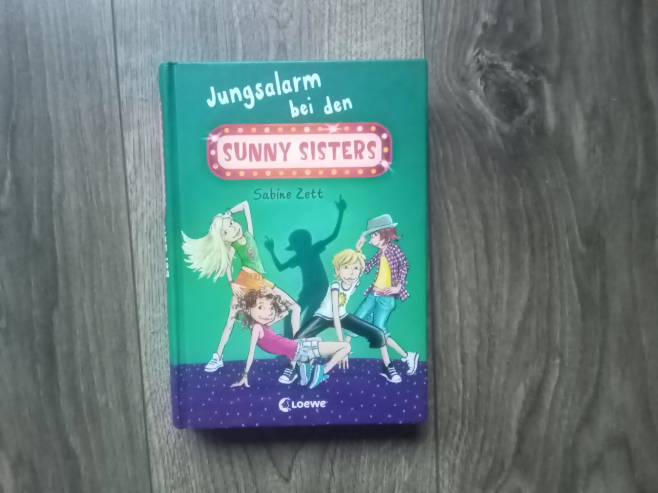 Jungsalarm bei den Sunny Sisters Sabine Zett Hardcover Buch Bd 3