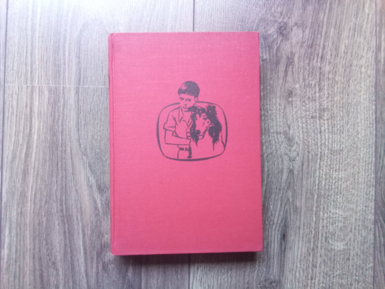 Fernsehhund Lassie Buch Band 1 Dorothea J. Snow das Geheimnis vom Brombeersumpf Engelbert