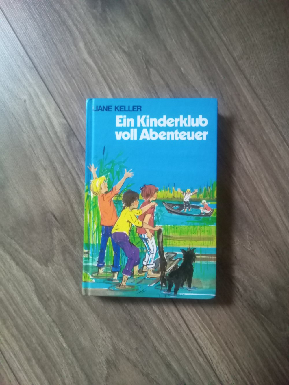verschiedene Bücher Bambi verrückte Geschichten Jahresreigen Kinderklub