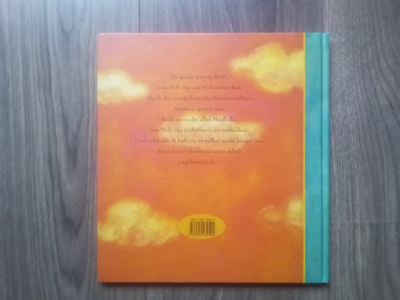 Millis ungeheures Geheimnis Angelika Glitz Bilderbuch Thienemann