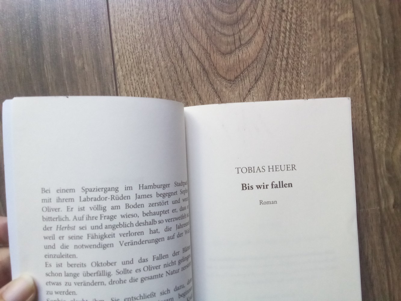 Bis wir fallen Fantasievolle Liebesgeschichte modernes Märchen für Erwachsene Tobias Heuer 