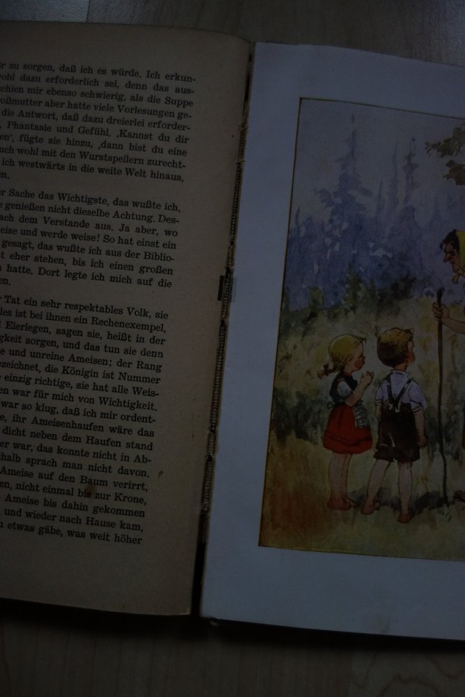 Märchen Globus Verlag alt gebunden Leinen