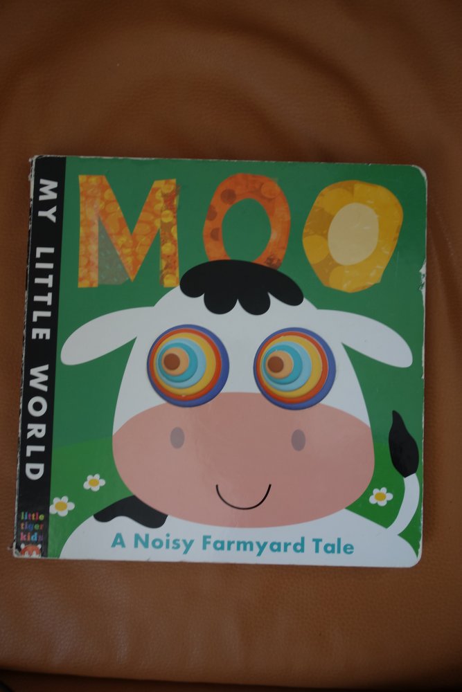 Pappbilderbuch Englisch Moo a noisy farmyard tale Jonathan Litton