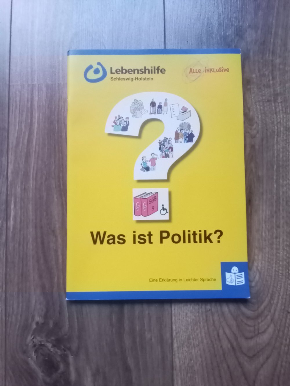 Was ist Politik? Erklärung in leichter Sprache Lebenshilfe alle inklusive 