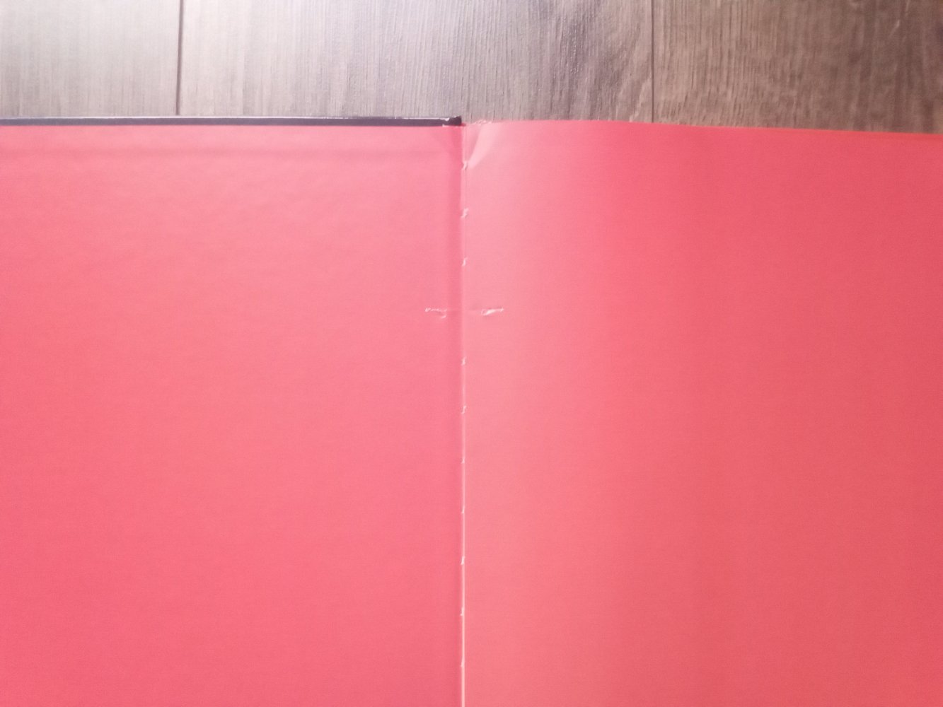 Der rote Kater Gregoire Solotareff Bilderbuch Moritz Verlag