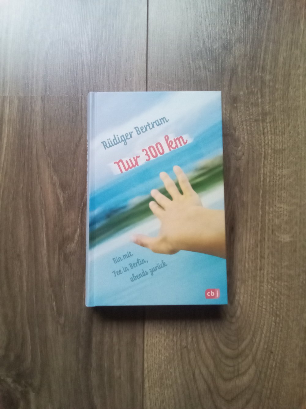 Rüdiger Bertram Nur 300 km Kinderbuch cbj Rolli-Roadtrip 