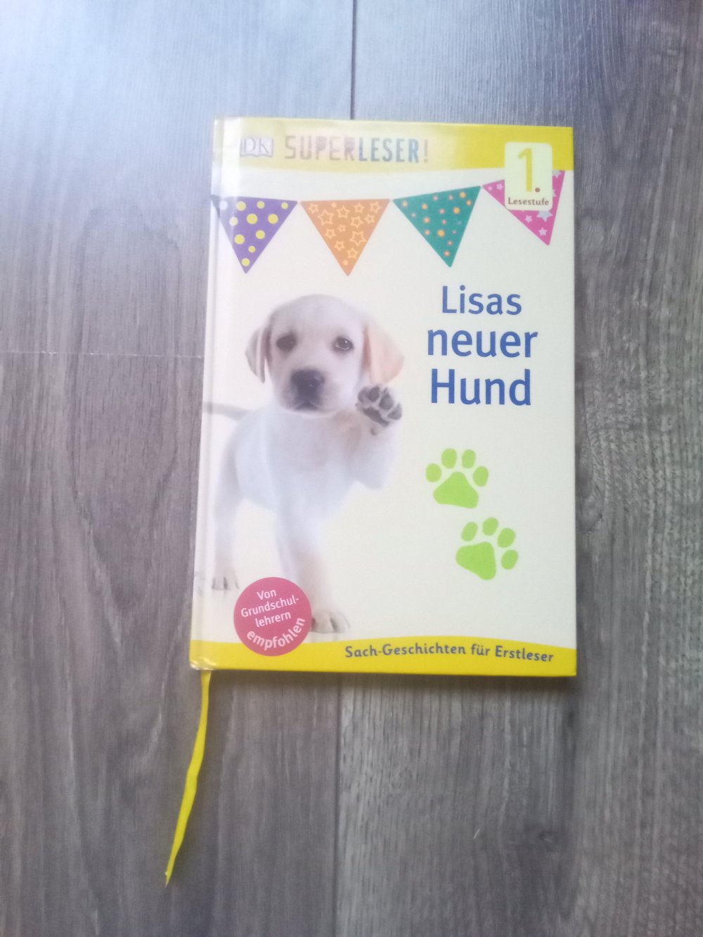 Lisas neuer Hund Superleser 1. Lesestufe Sachbuch Lesen lernen mit dem kleinen Gespenst Bildermaus
