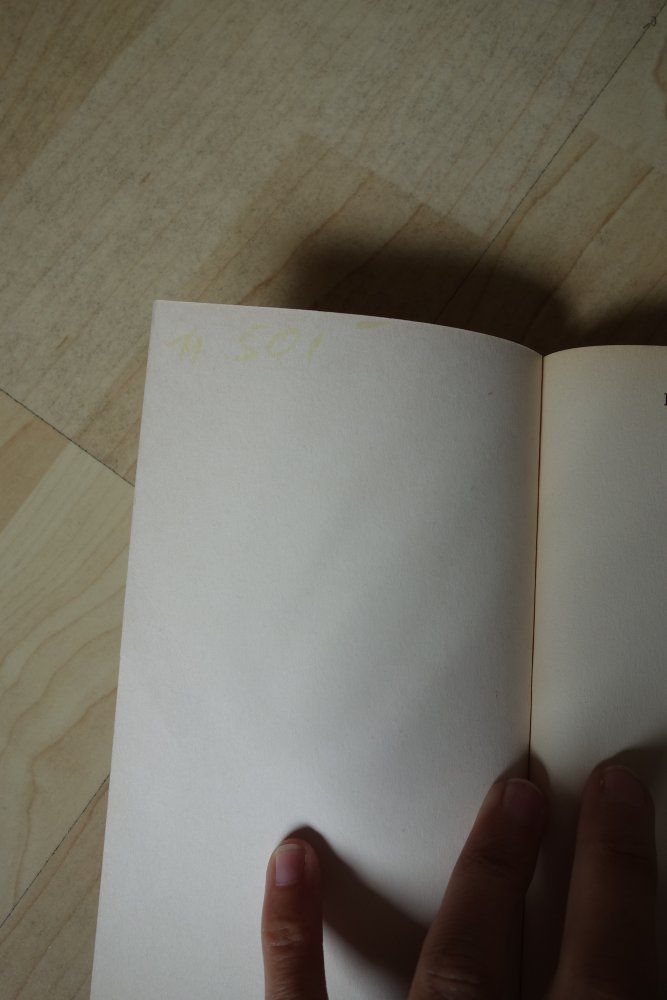 Ein Pferd für mich Federica de Cesco Buch dtv junior