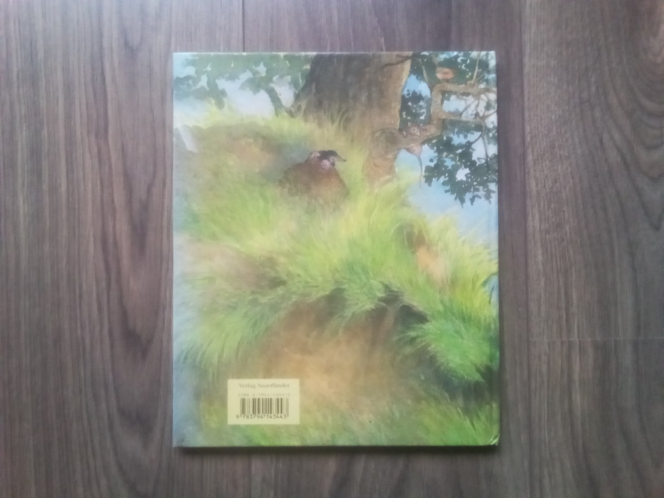 Ein Loch ist im Eimer Ingrid Dieter Schubert Bilderbuch Sauerländ