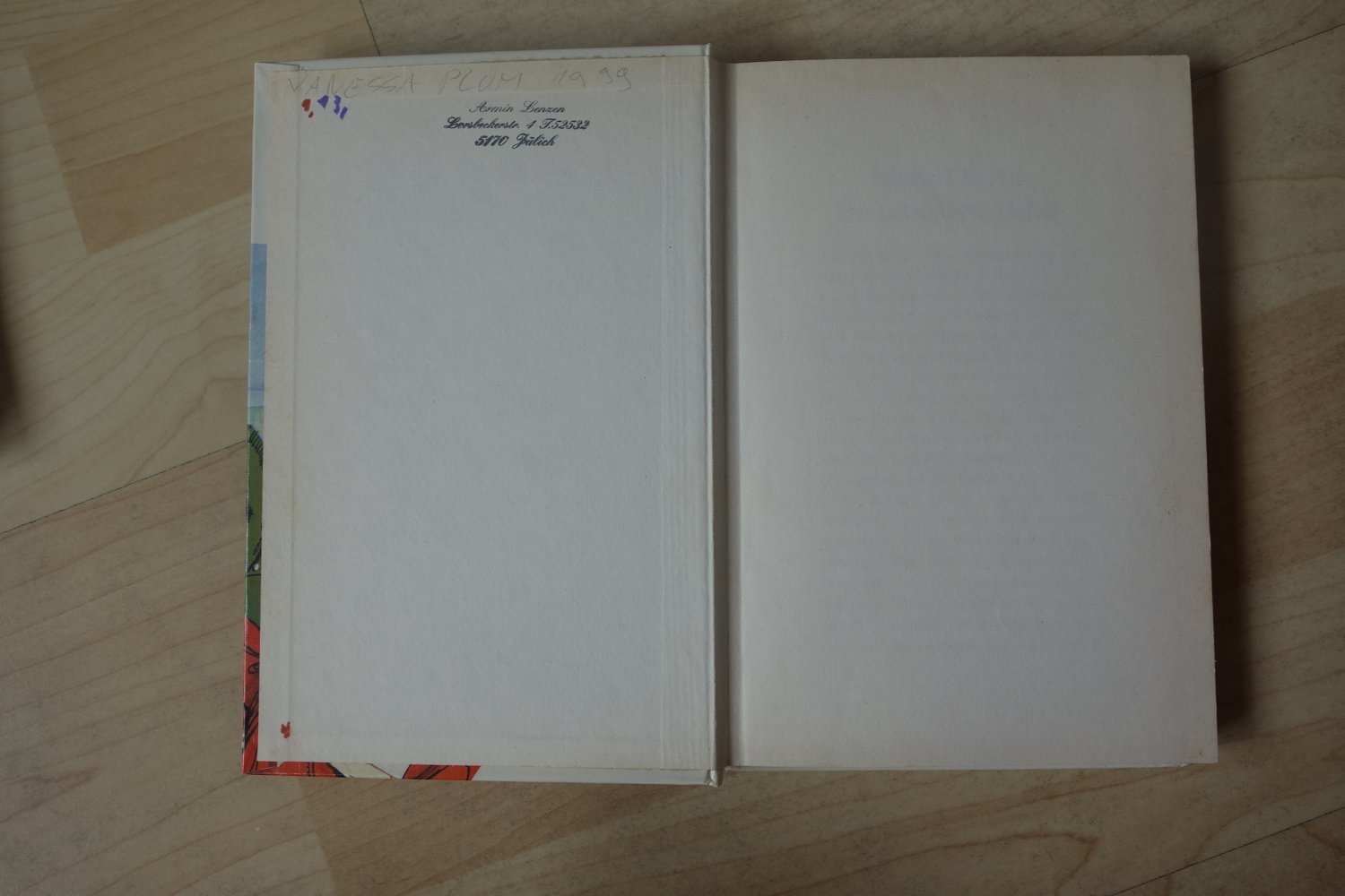 Privatdetektiv Ronny Sturm der rätselhafte Unfall Göttinger Fischer-Buch