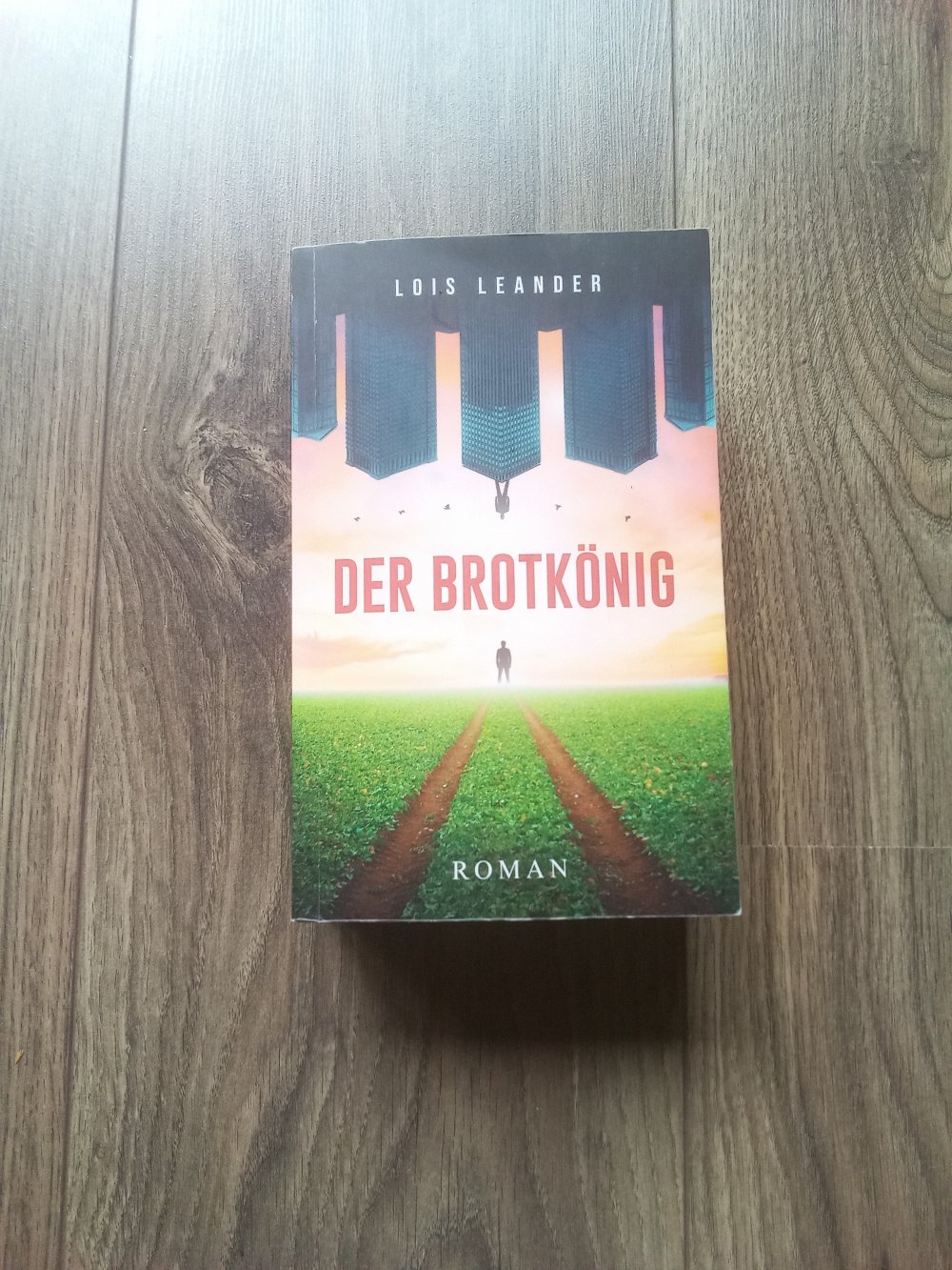 Der Brotkönig Roman um Macht und Weisheit Lois Leander 