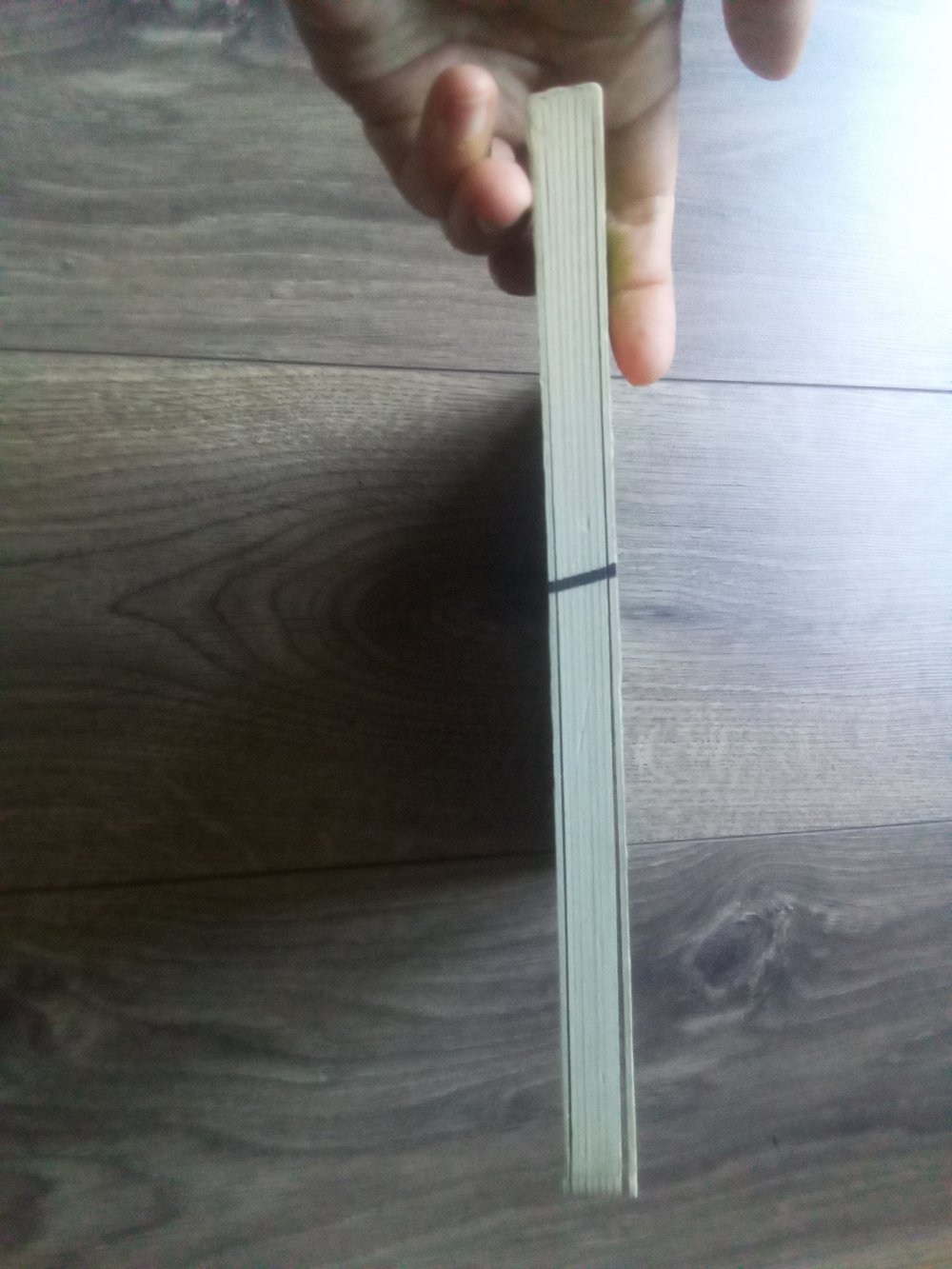 Bald ist Ostern kleiner Hase Pappbilderbuch Frauke Weldin NordSüd