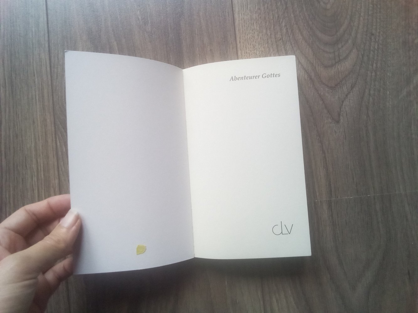 Das Geheimnis der Mayflower William Bradford Dave Jackson