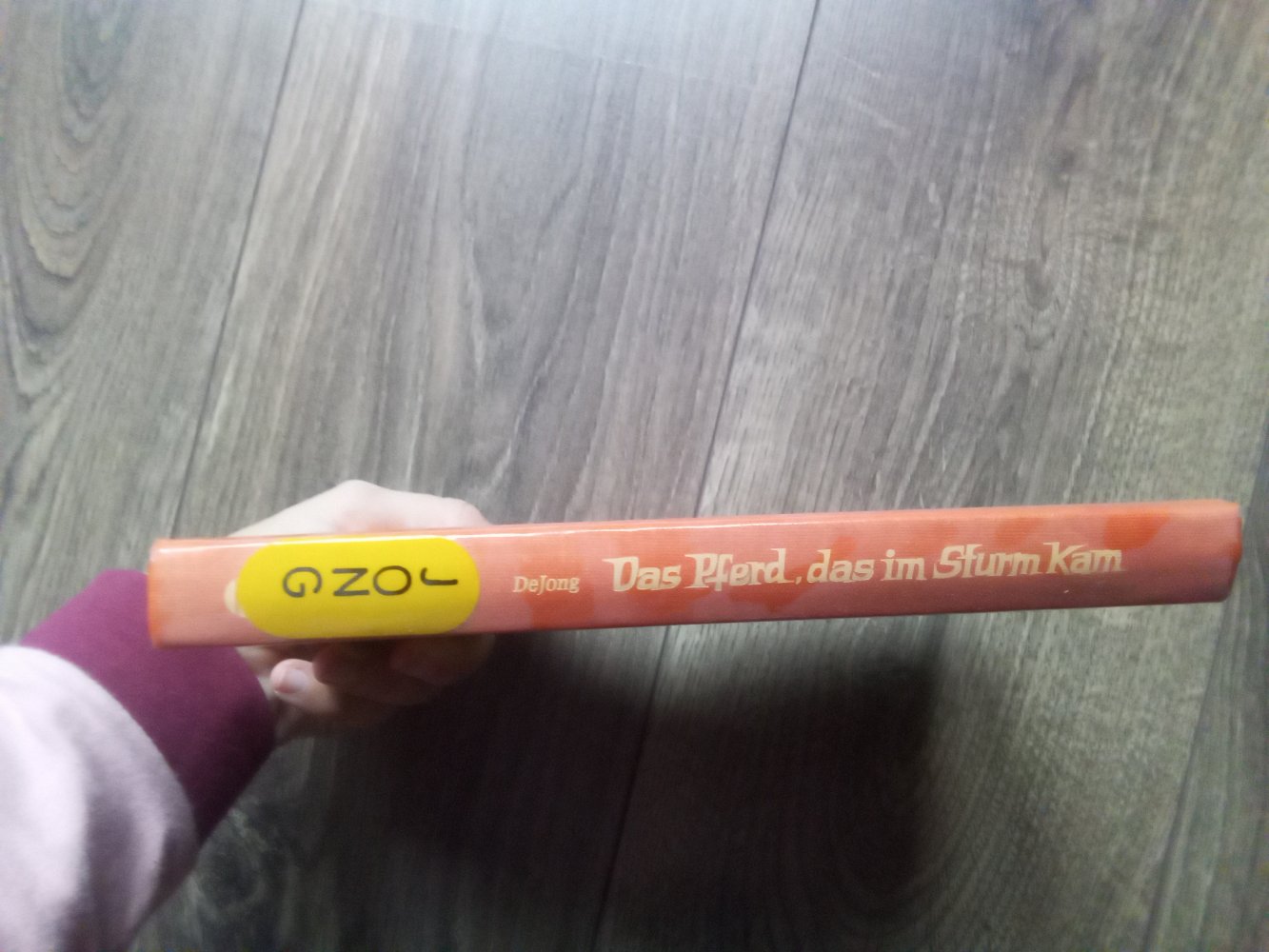 Das Pferd das im Sturm kam Meindert de Jong