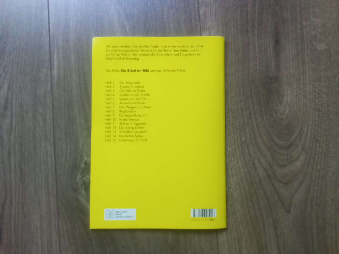 Der Berg bebt: Die Israeliten auf dem Weg durch die Wüste (Die Bibel im Bild / Biblische Geschichten im Abenteuercomic-Stil) Band 1