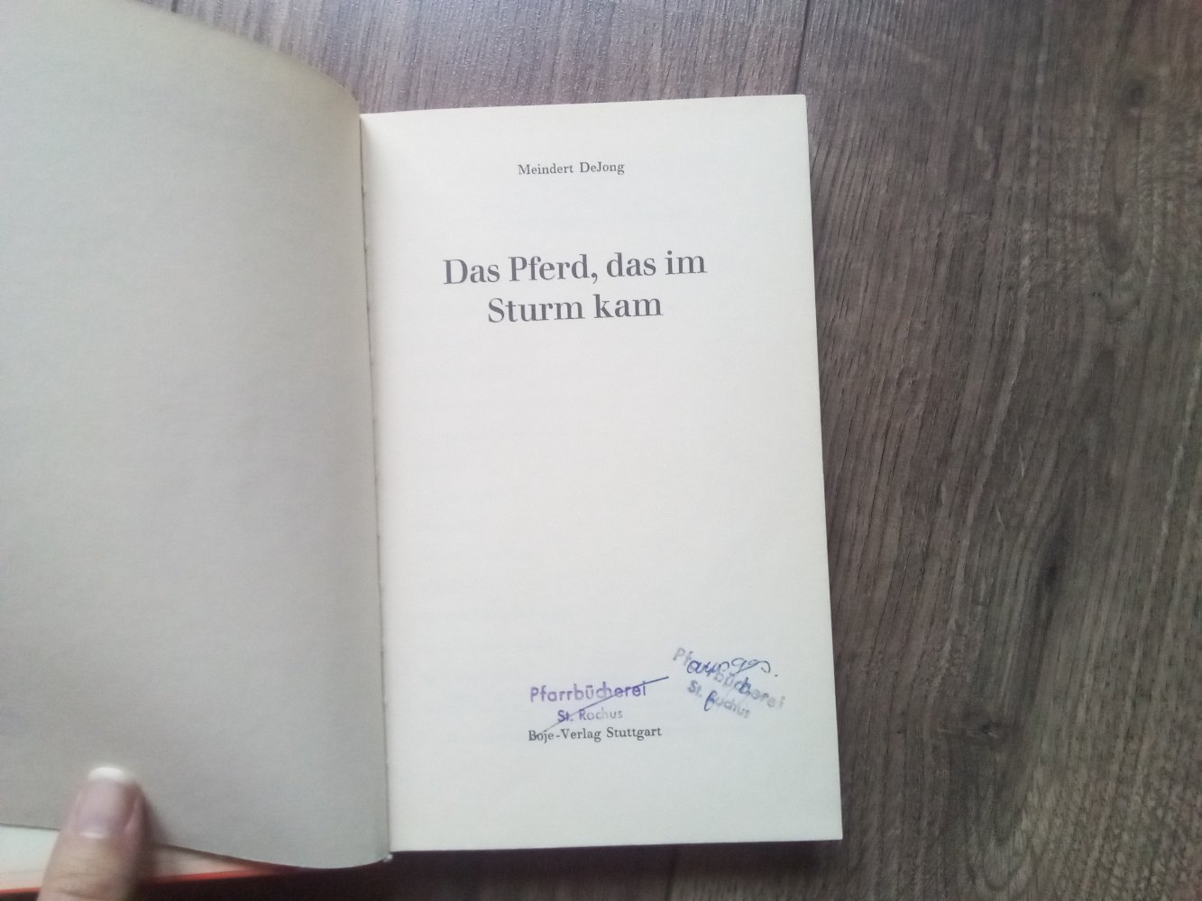 Das Pferd das im Sturm kam Meindert de Jong