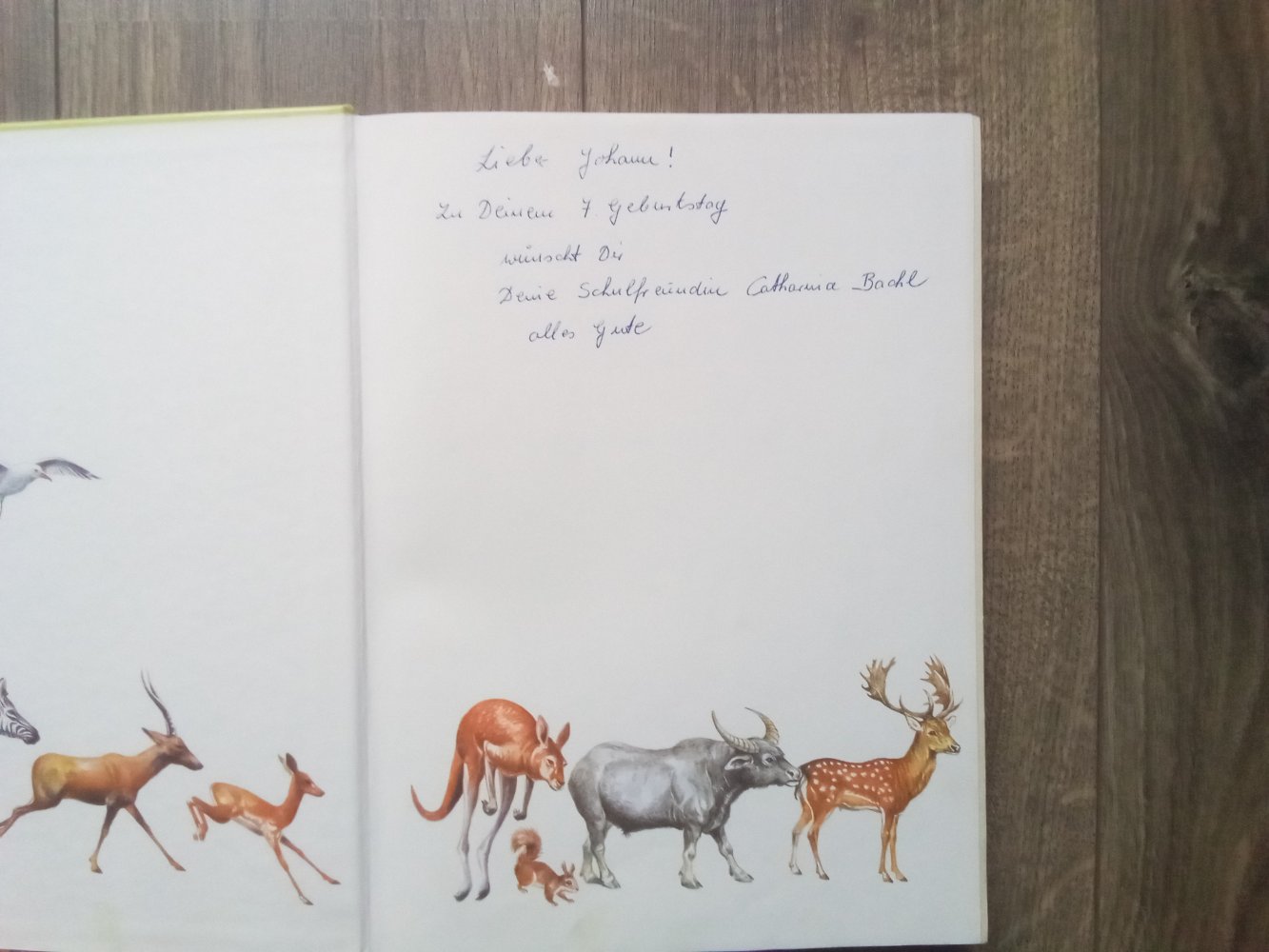 Das große Buch der Tiere Sachbuch Margot Hellmiss Hermut K. Geipel