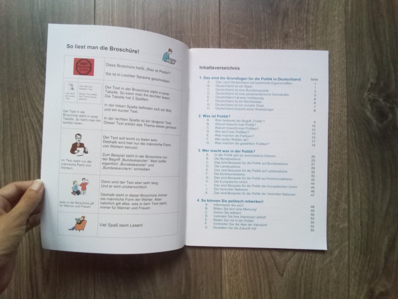 Was ist Politik? Erklärung in leichter Sprache Lebenshilfe alle inklusive 