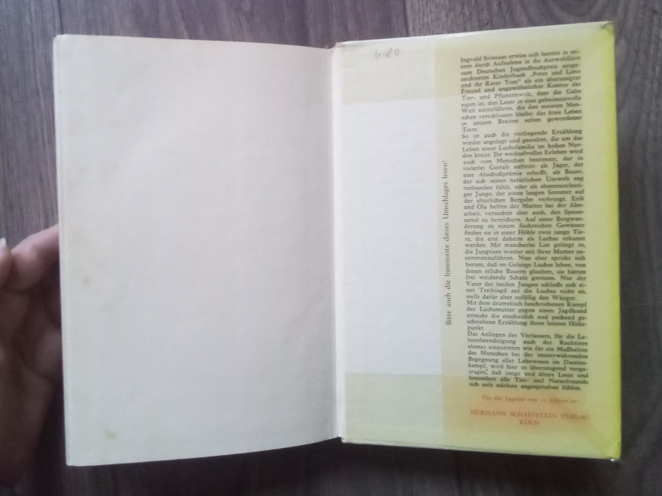 Sommerstürme der seltsame Nachbar Mary Stolz Rose Planner-Petelin