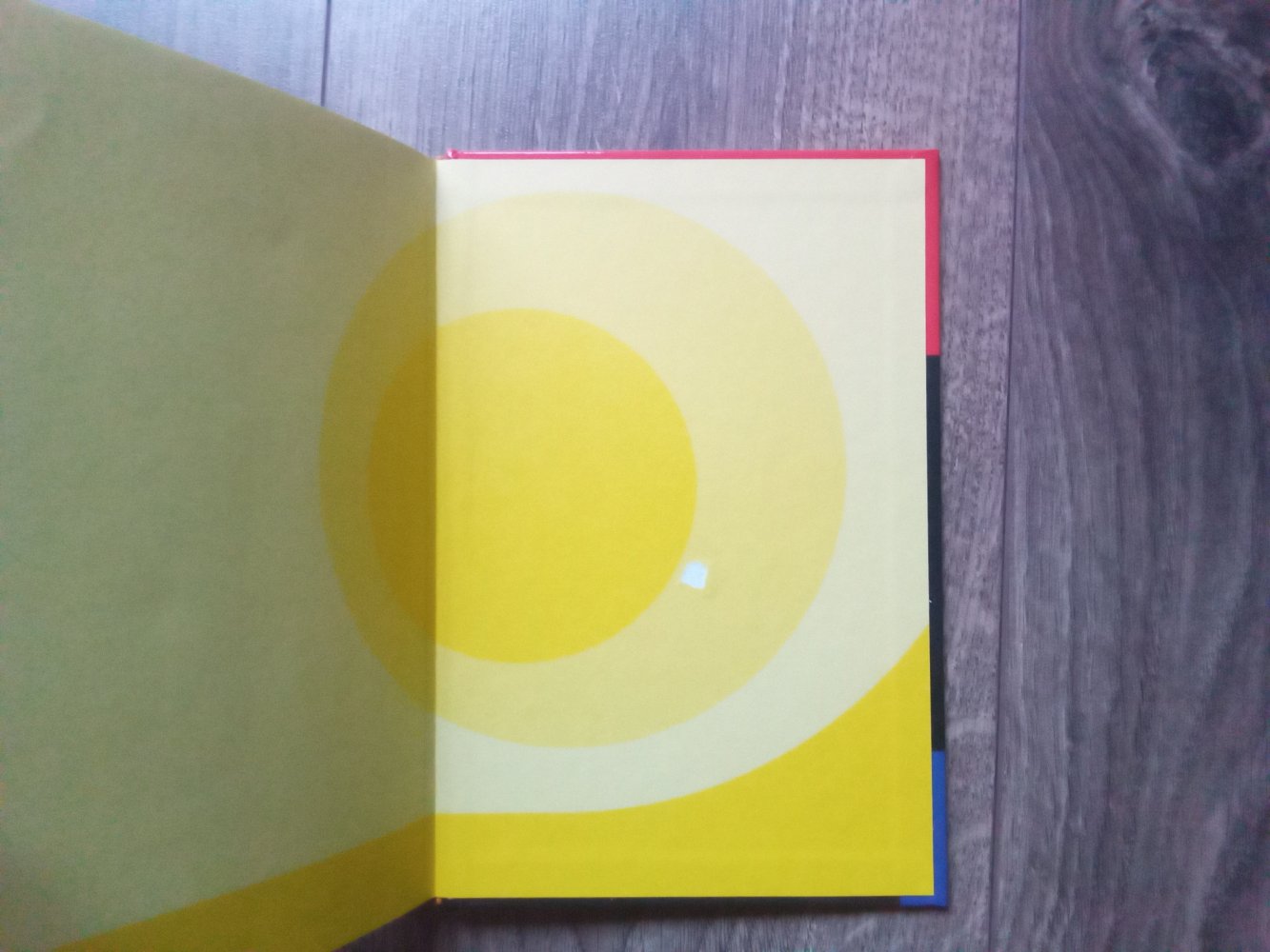 6x die drei !!! Betrug Spuk Skaterfieber Flamenco brandgefährlich Gefahr