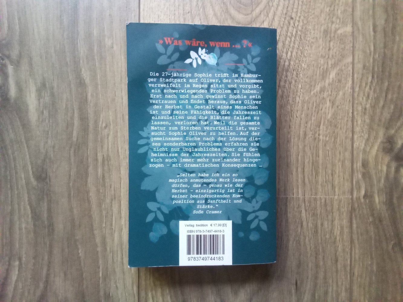 Bis wir fallen Fantasievolle Liebesgeschichte modernes Märchen für Erwachsene Tobias Heuer 