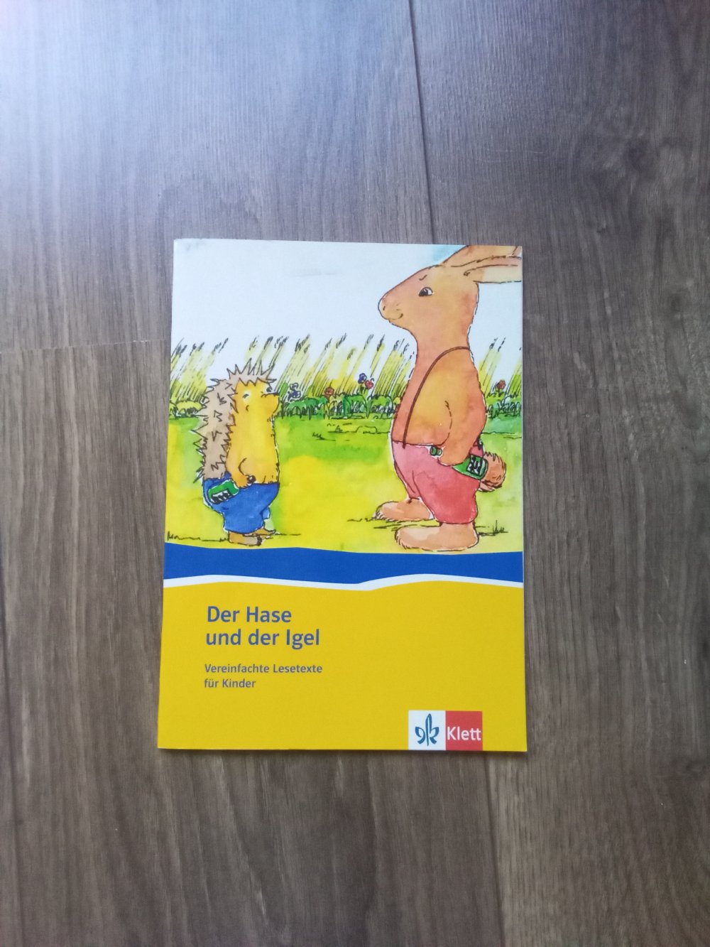 Der Hase und der Igel Klett vereinfachte Lesetexte ausmalen 1. + 2. Klasse Lektüre 