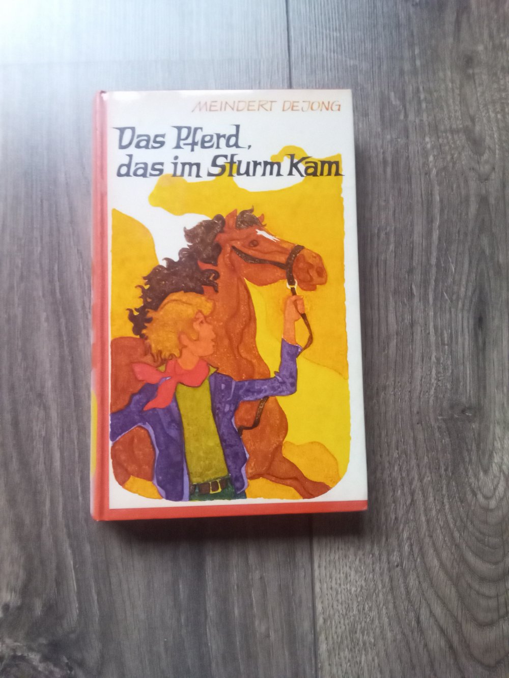 Das Pferd das im Sturm kam Meindert de Jong