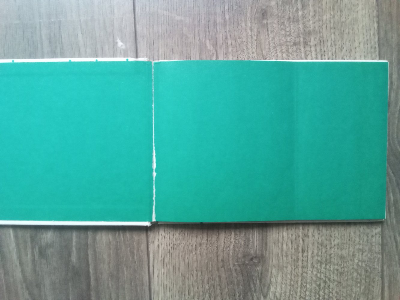 Kunibert und der Drache Franz Stanzl Schneider Buch