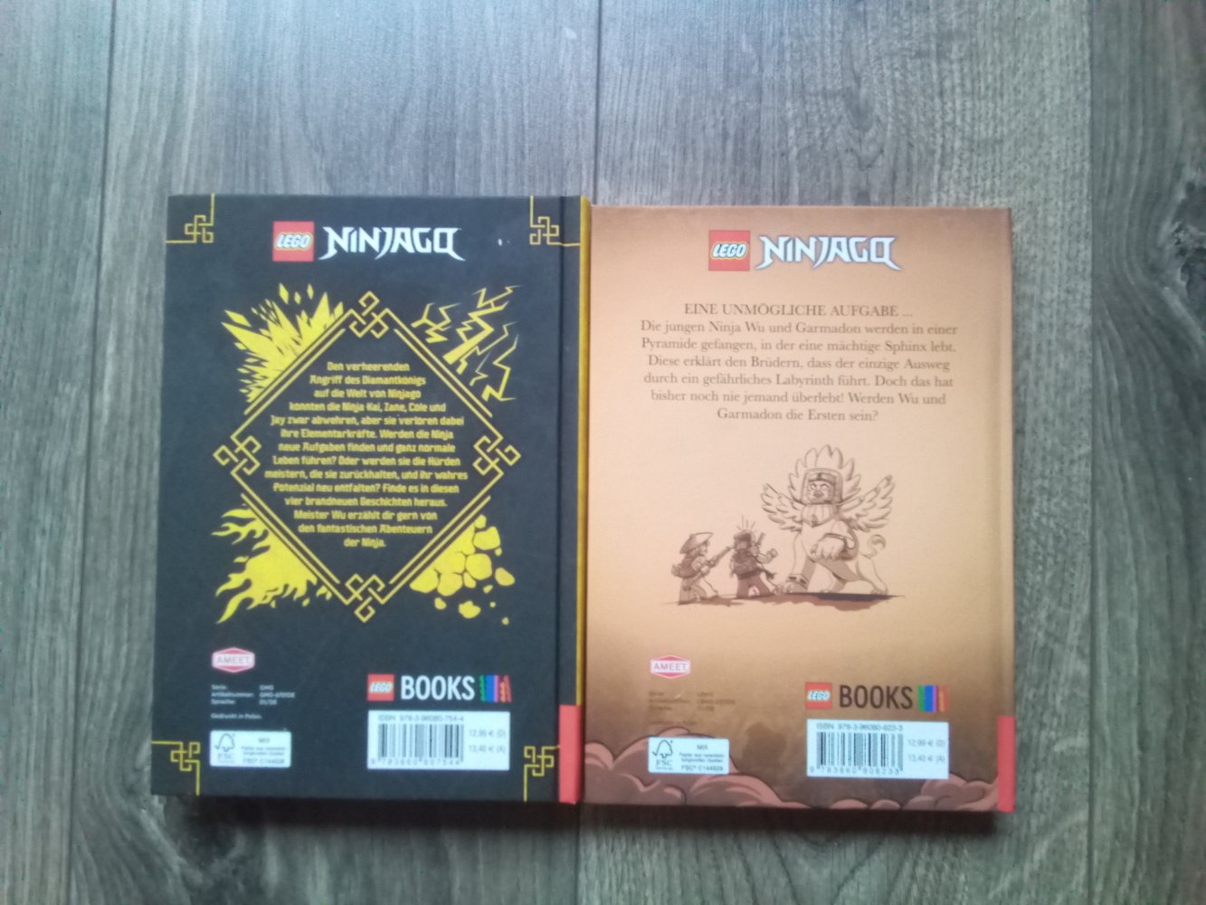 LEGO Ninjago Buch Spinjitzu Brothers Das Labyrinth der Sphinx Band 3 Die Suche nach den magischen Kräften Tracey West 