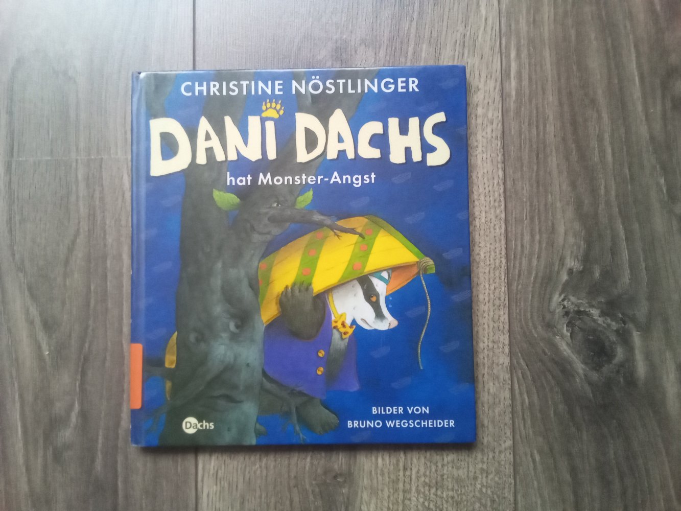 Dani Dachs hat Monster-Angst Christine Nöstlinger Bilderbuch
