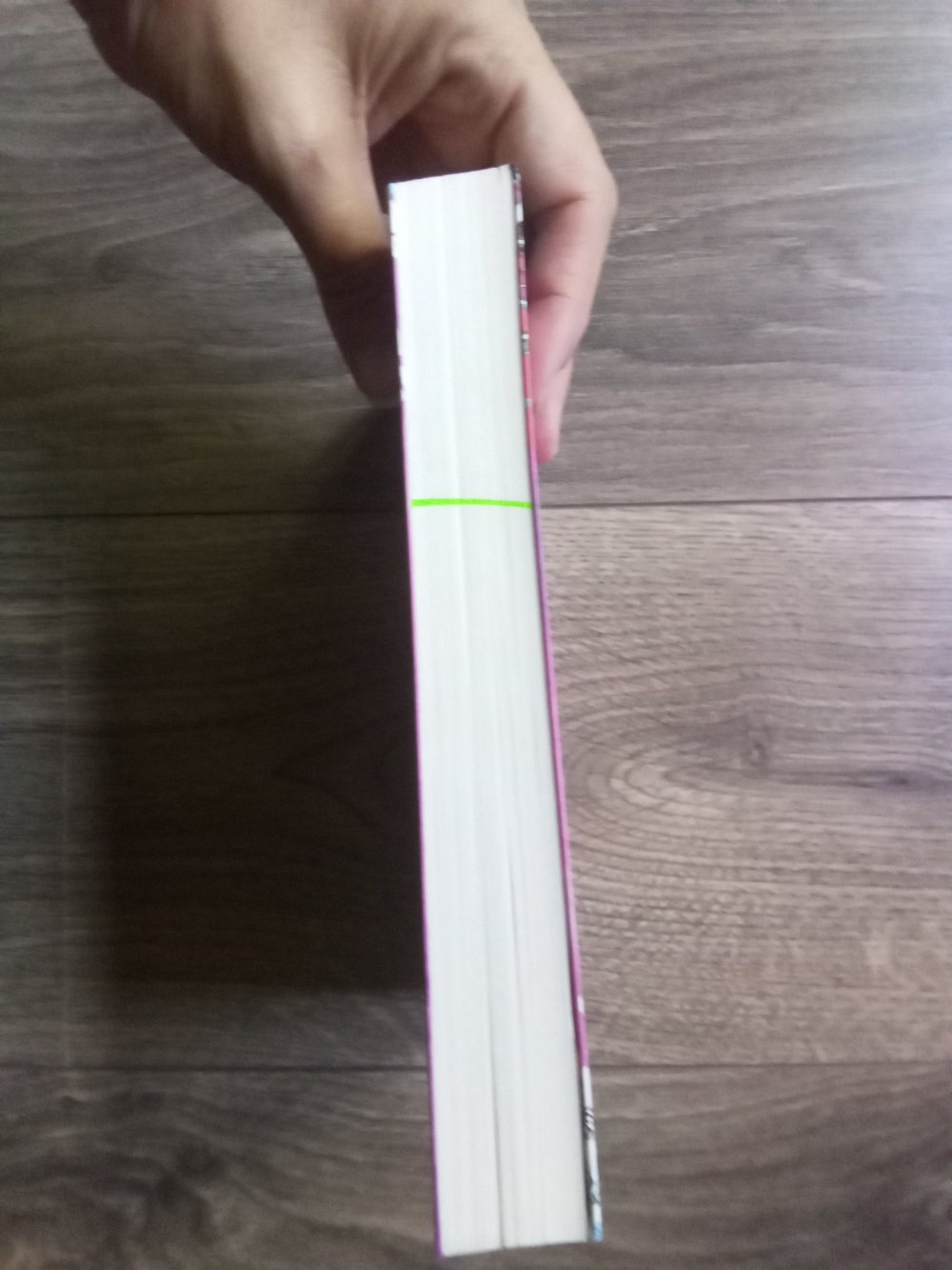 Luzie und Leander verboten tapfer Band 6 Bettina Belitz Loewe 15 Jungs, 4 Frösche + 1 Kuss E. Lockhart Carlsen 