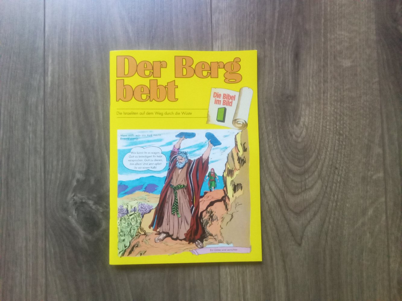 Der Berg bebt: Die Israeliten auf dem Weg durch die Wüste (Die Bibel im Bild / Biblische Geschichten im Abenteuercomic-Stil) Band 1