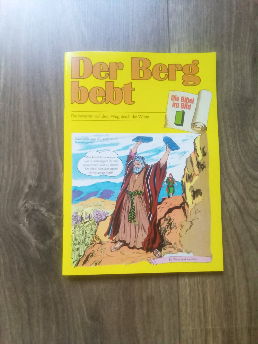 Der Berg bebt: Die Israeliten auf dem Weg durch die Wüste (Die Bibel im Bild / Biblische Geschichten im Abenteuercomic-Stil) Band 1