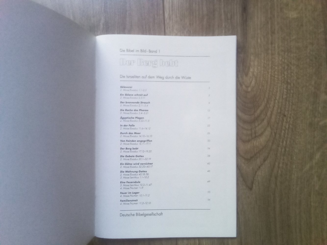 Der Berg bebt: Die Israeliten auf dem Weg durch die Wüste (Die Bibel im Bild / Biblische Geschichten im Abenteuercomic-Stil) Band 1