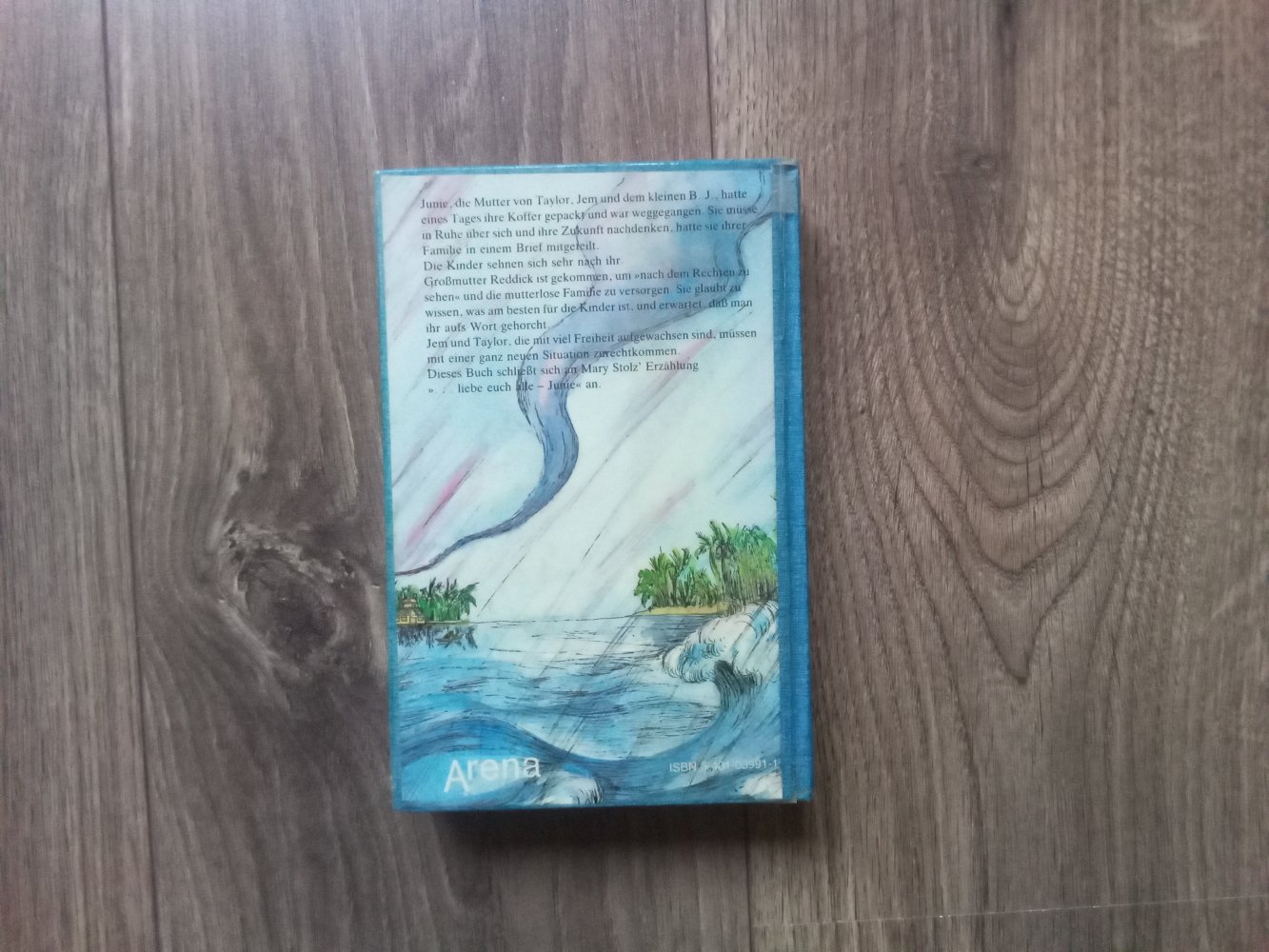 Sommerstürme der seltsame Nachbar Mary Stolz Rose Planner-Petelin