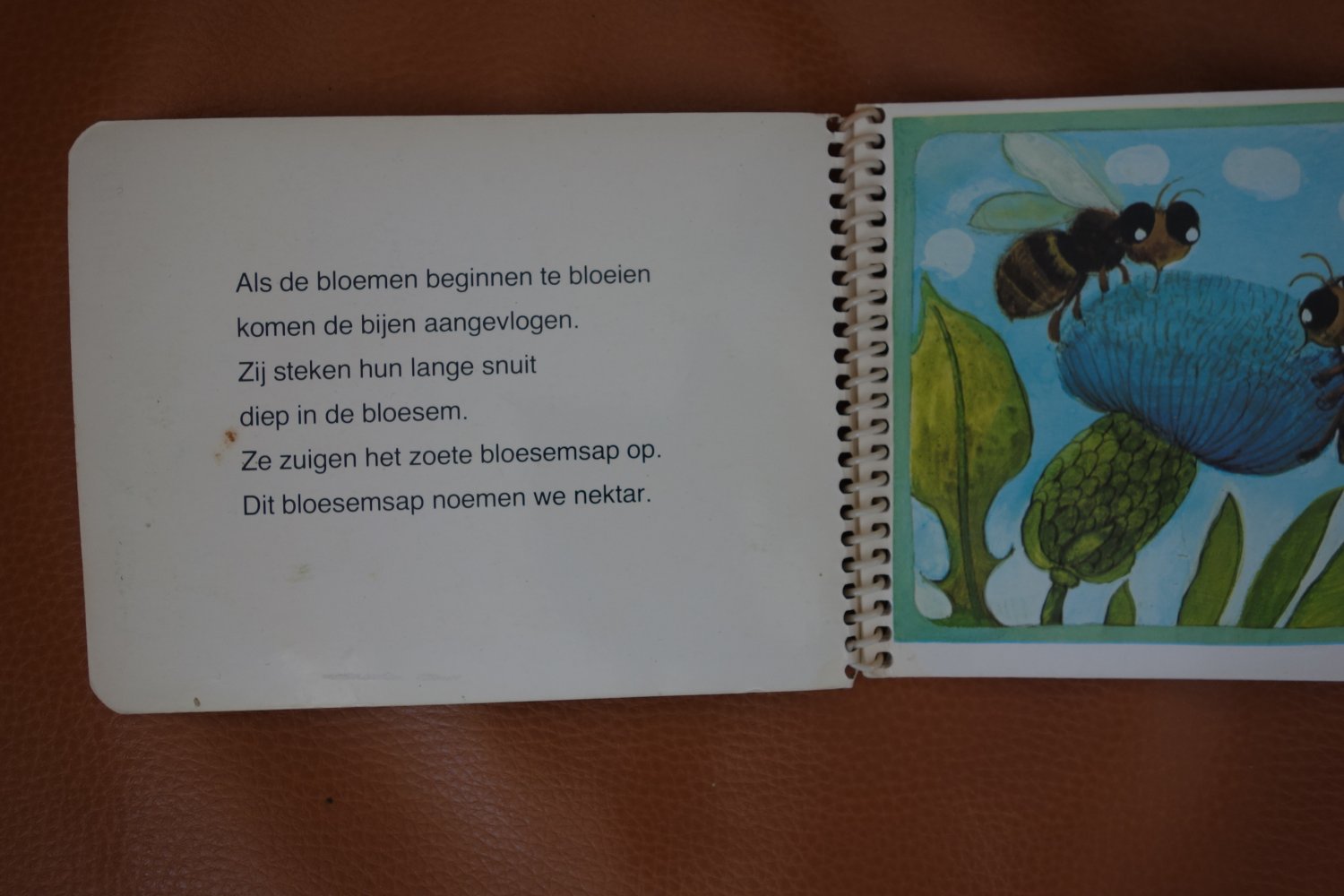 van bloesem tot honing Ali Mitgutsch Sachbuch Spiralbindung NL