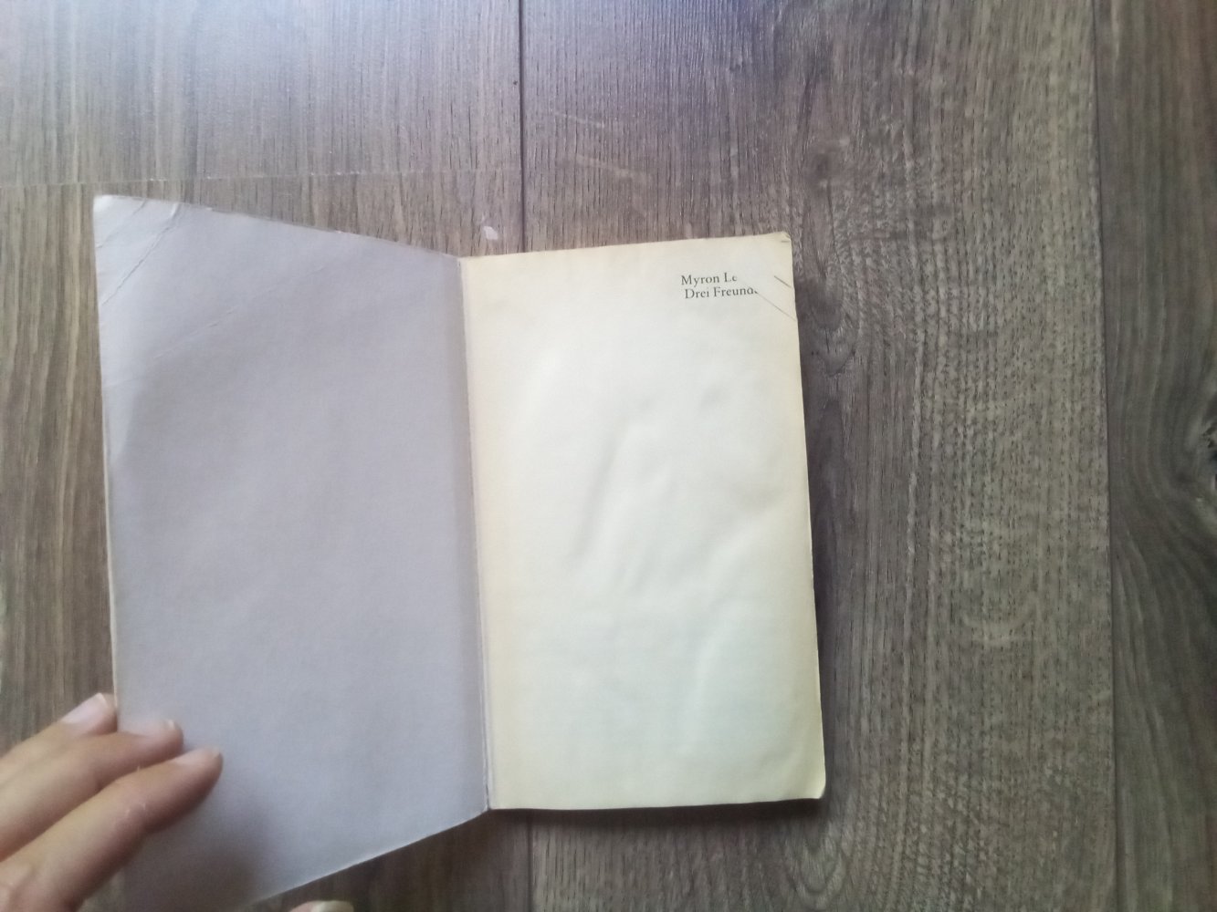 Taschenbuch Drei Freunde Myron Levoy dtv Pocket Junior 