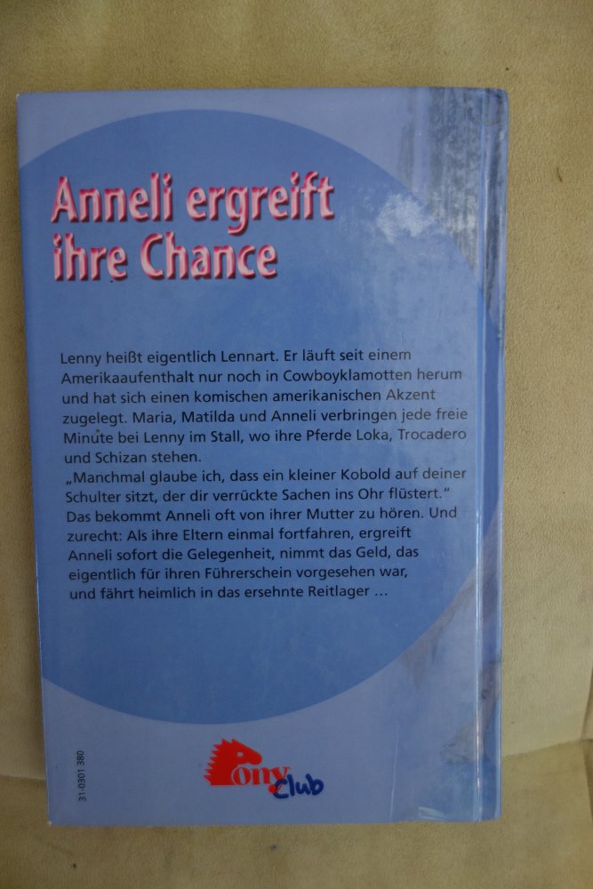 Anneli ergreift ihre Chance Jennifer Johansson Buch Pferde