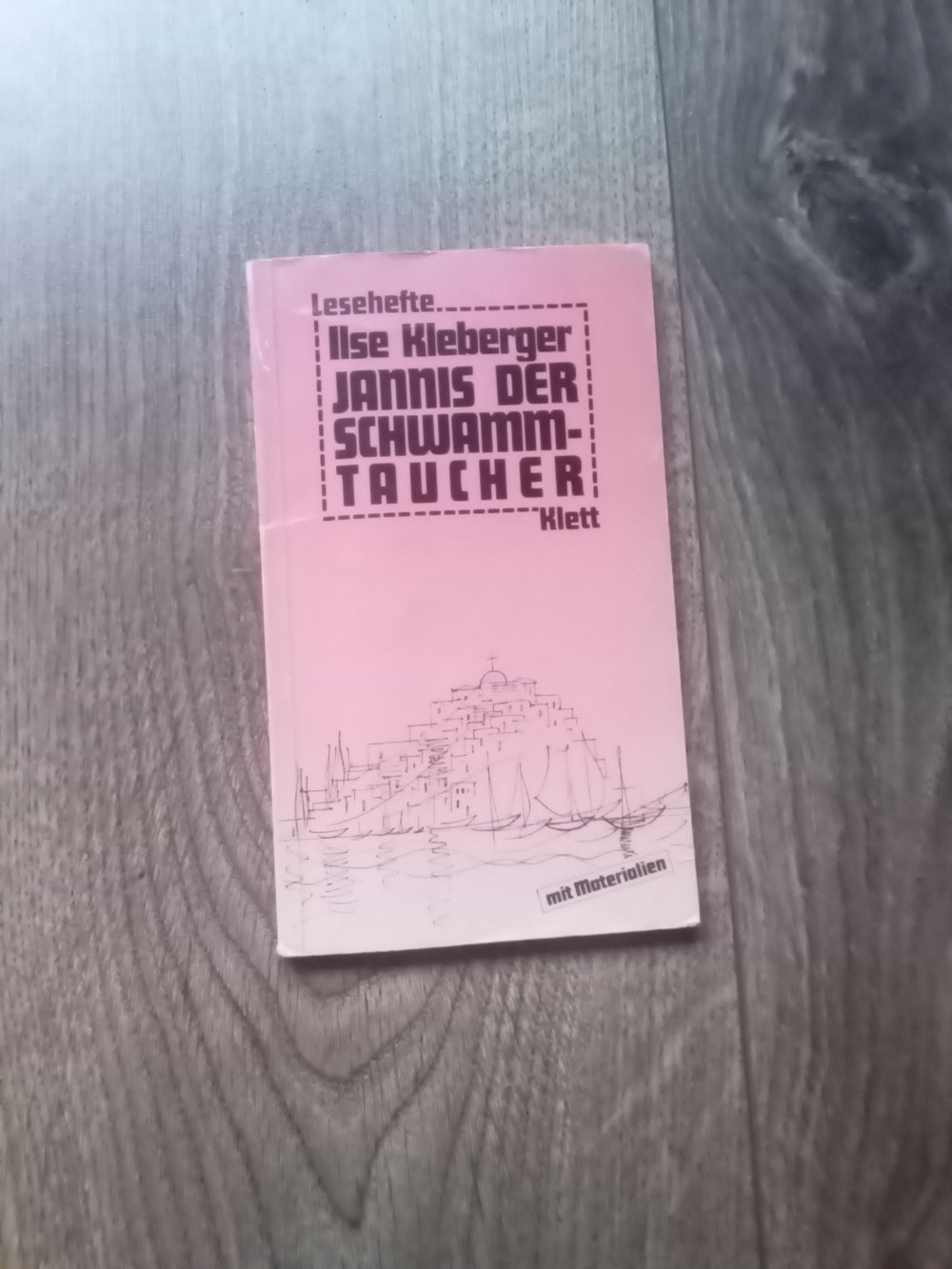 Jannis der Schwammtaucher Ilse Kleeberger Buch Klett Lektüre