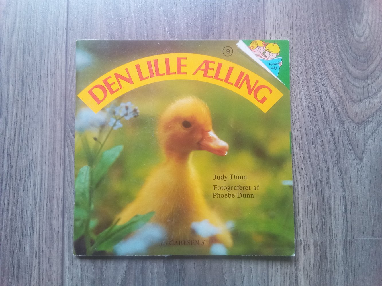 Den Lille Aelling Bilderbuch dänisch das kleine Entlein Judy Dunn