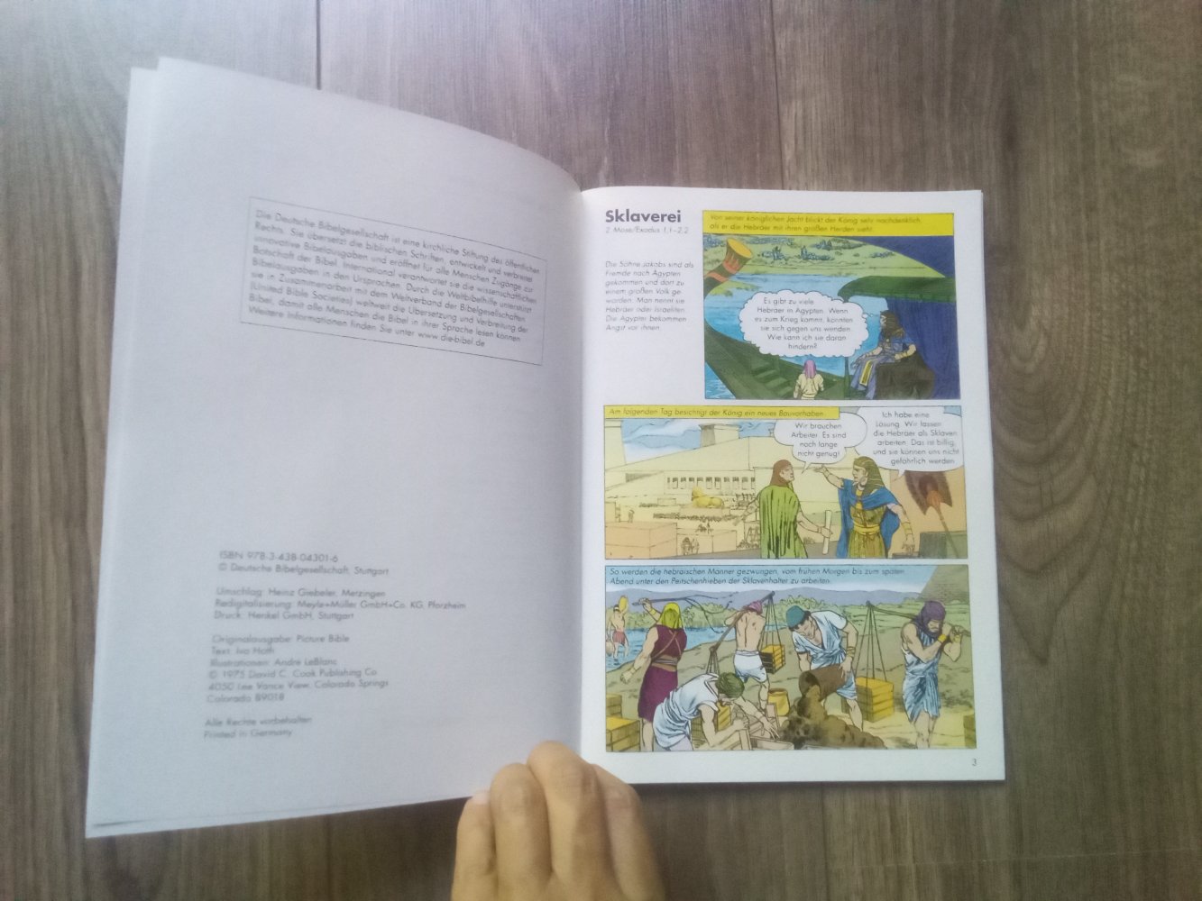 Der Berg bebt: Die Israeliten auf dem Weg durch die Wüste (Die Bibel im Bild / Biblische Geschichten im Abenteuercomic-Stil) Band 1