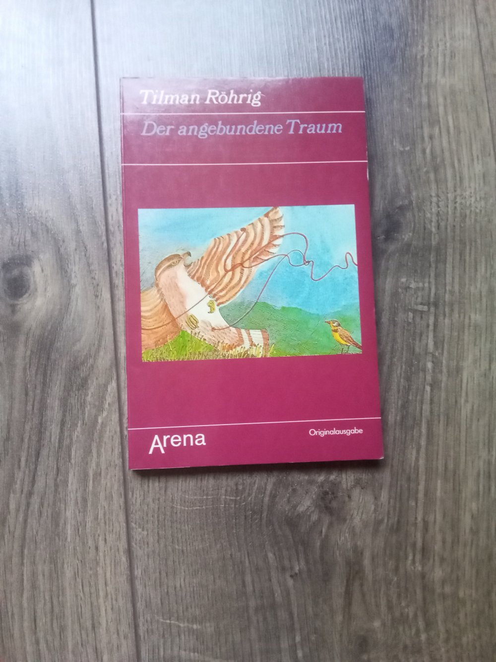 der angebundene Traum Tilman Röhrig Buch
