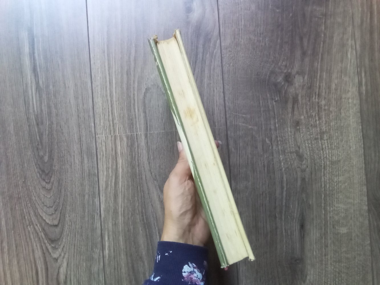 Fernsehhund Lassie Buch Band 1 Dorothea J. Snow das Geheimnis vom Brombeersumpf Engelbert