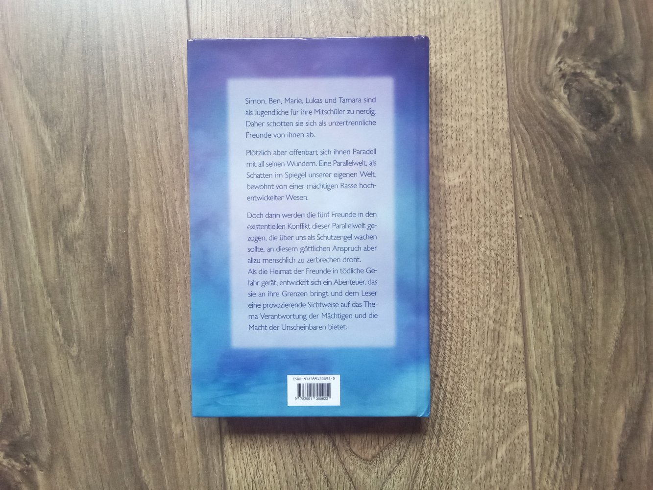 Die Schatten von Paradell Sebastian Müller Novum Buch Fantasy