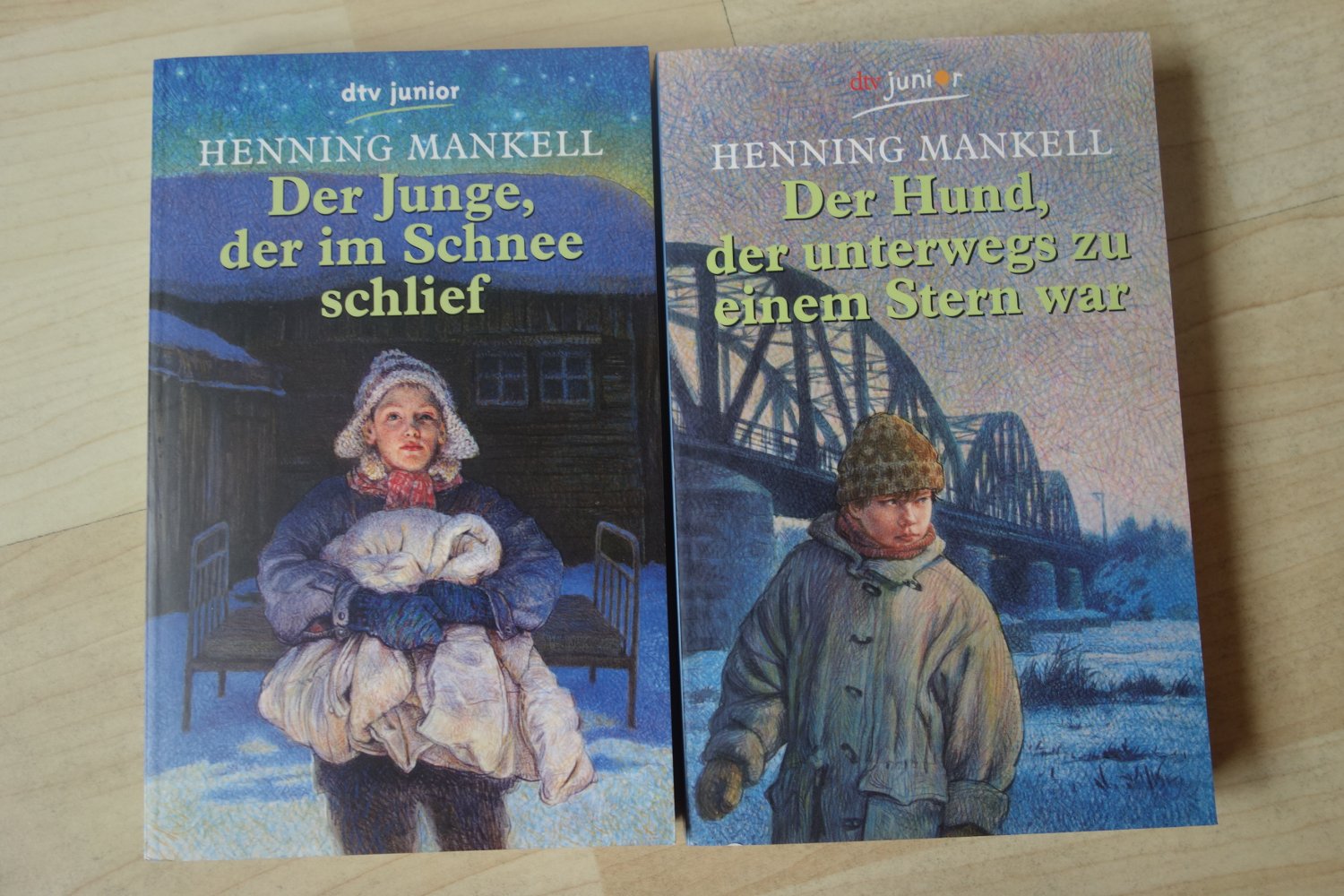 Der Junge der im Schnee schlief der Hund der unterwegs zu einem Stern war Henning Mankell dtv Junior