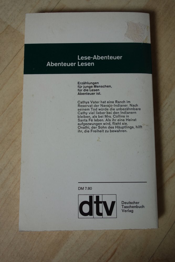 Ein Pferd für mich Federica de Cesco Buch dtv junior