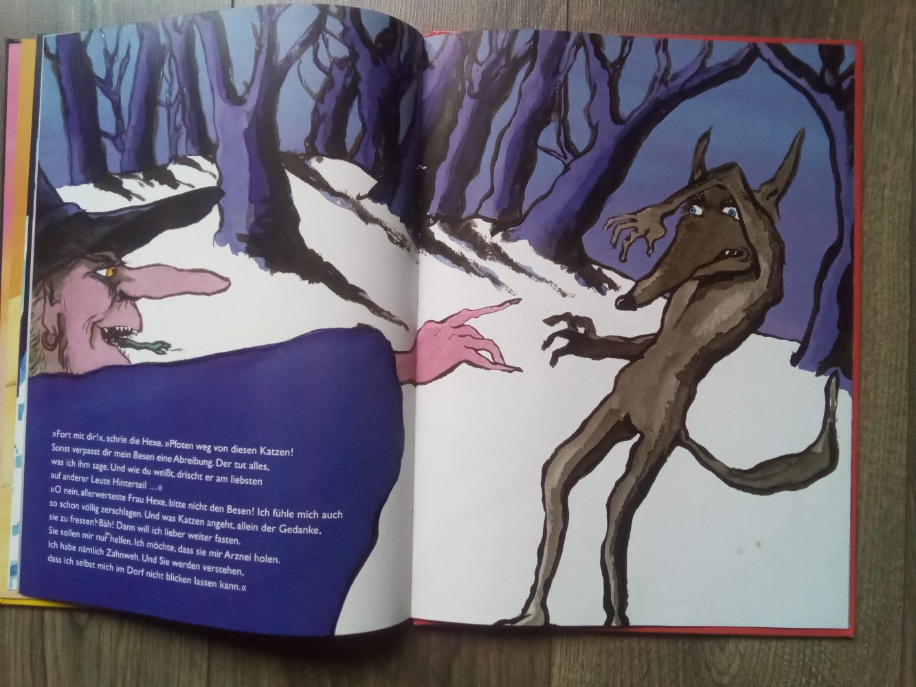 Der rote Kater Gregoire Solotareff Bilderbuch Moritz Verlag