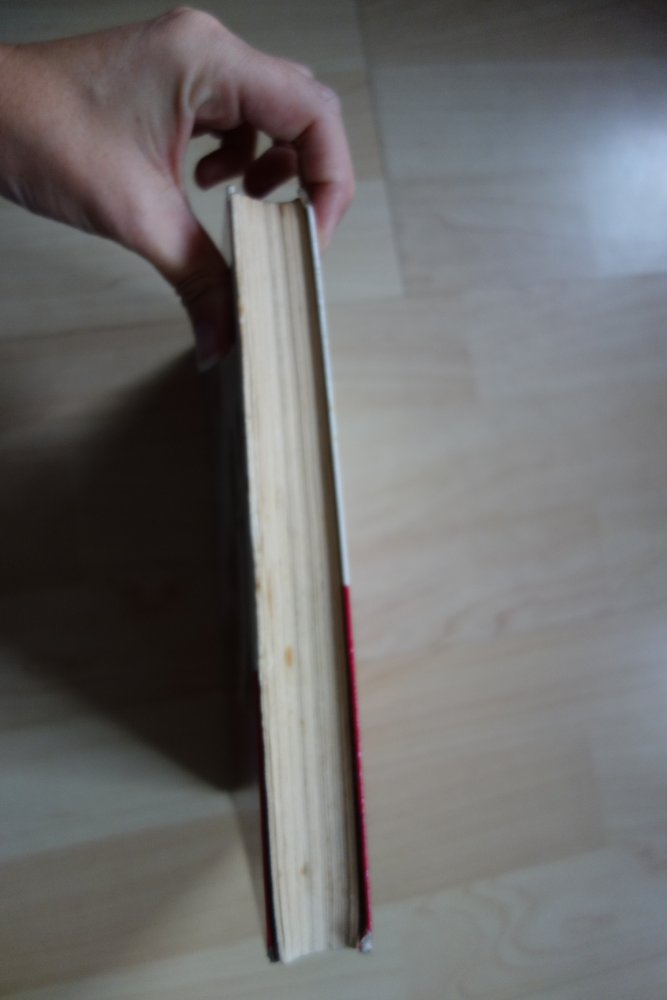 Das Schloss an den goldenen Ketten Corvina Verlag 1971 Märchen